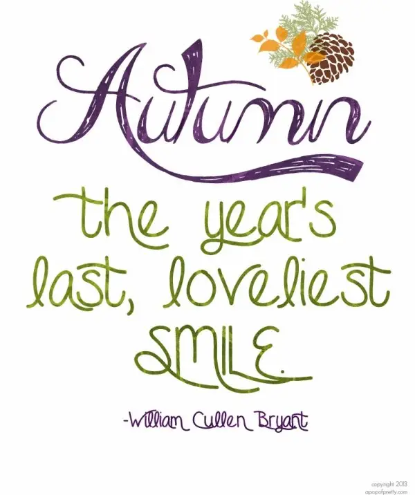 19 Lovely Quotes about Autumn ...
