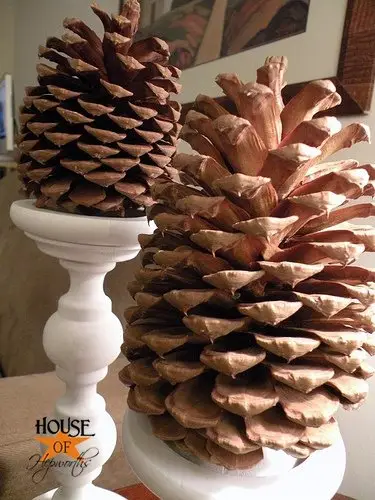 How to Have the Cleanest Pine Cones on the Block
