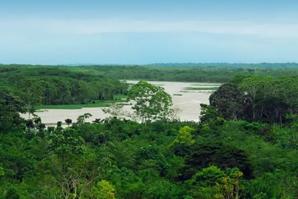 Amazon River and Basin