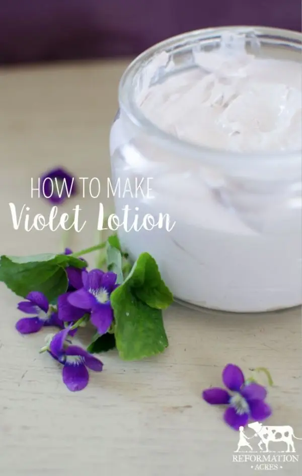 DIY Violet Lotion