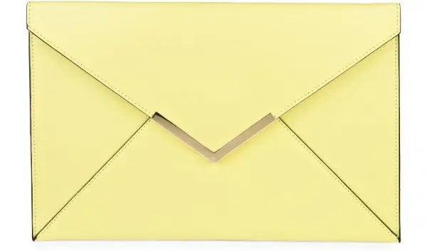 Cool Envelope Clutch