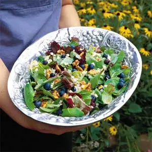 Berry Delicious Summer Salad