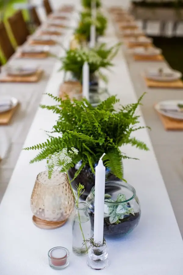 flowerpot, tableware, centrepiece, table, plant,
