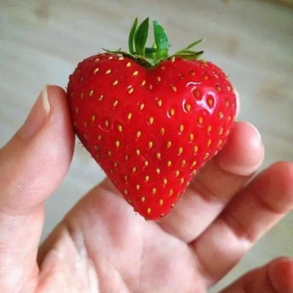 Strawberry, Strawberries, Natural foods, Accessory fruit, Fruit,