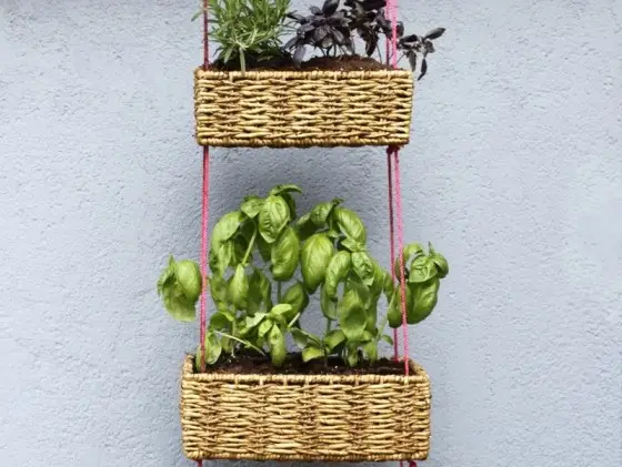DIY Upcycled Freezer Basket Planter - Jasey's Crazy Daisy