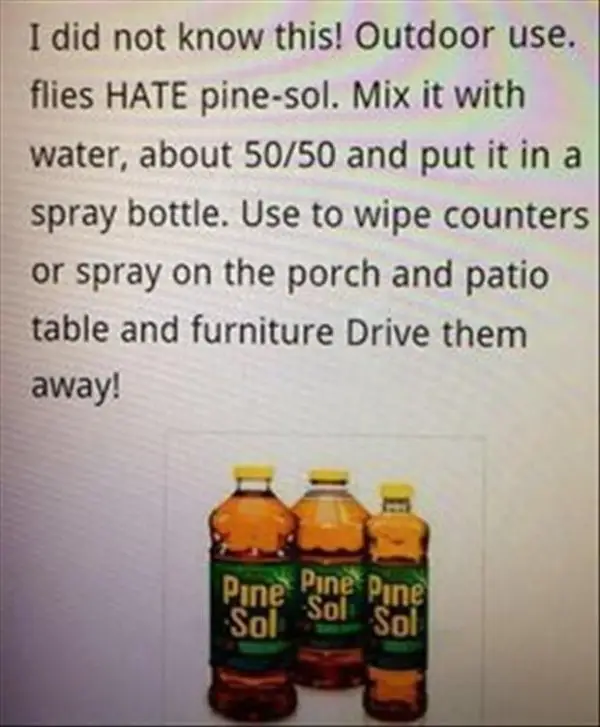 Pine-Sol,alcohol,product,drink,caffeine,