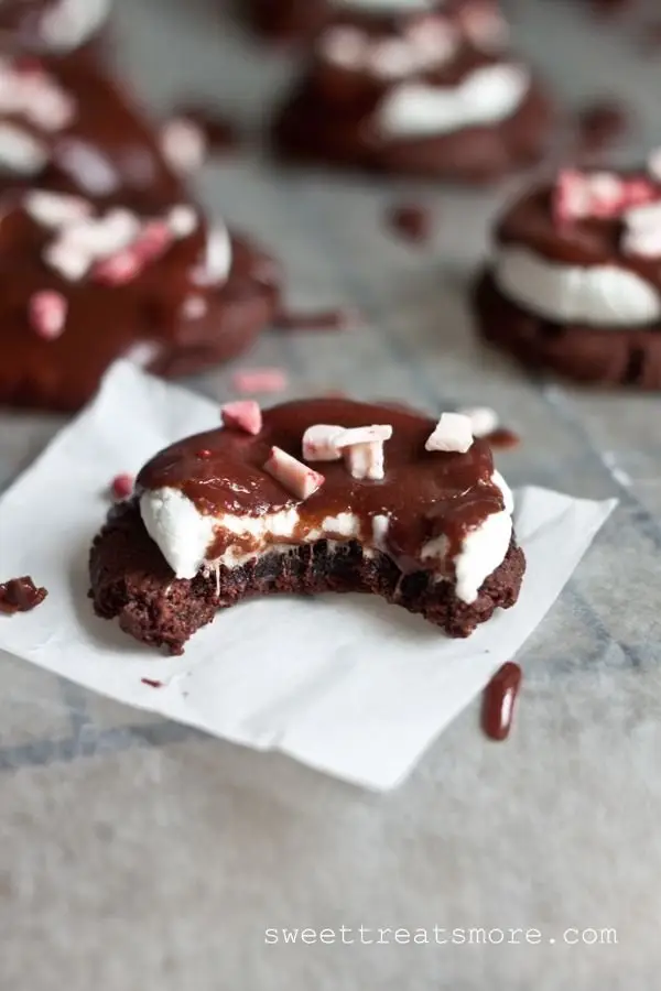 61 Recipes Using Marshmallow That Taste Just Too Good to Ignore ...
