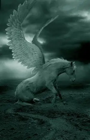 Pegasus - the Winged Horse