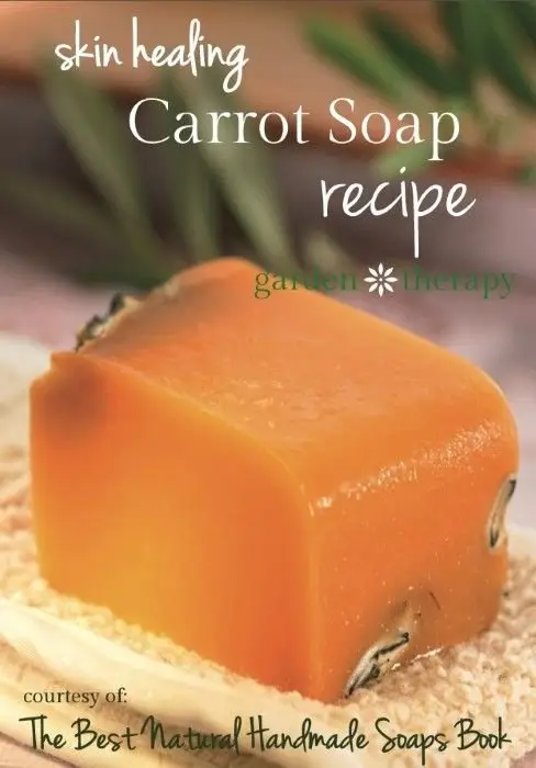 Anti-Aging and Skin Repair Carrot Soap