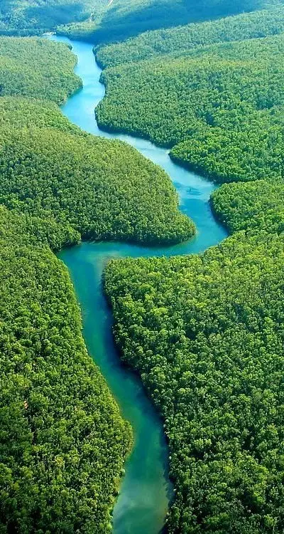 The Amazon Winding Its Way through Ecuador