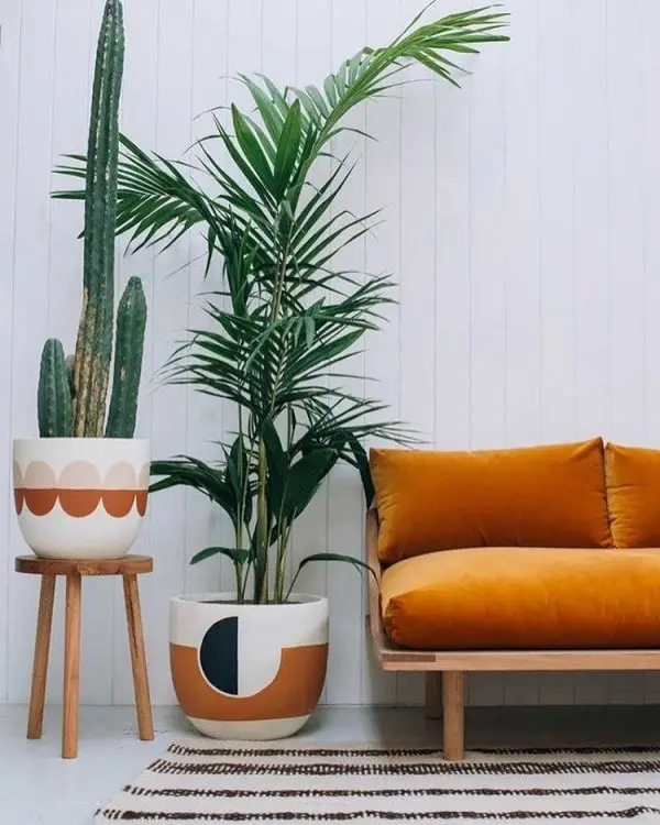 plant, arecales, grass family, interior design, furniture,