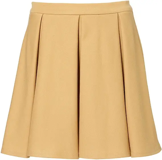 Full Skirt - Topshop Pleated Skater Skirt