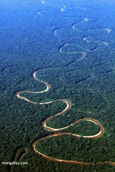 A Bird's Eye View of the Amazon Rainforest