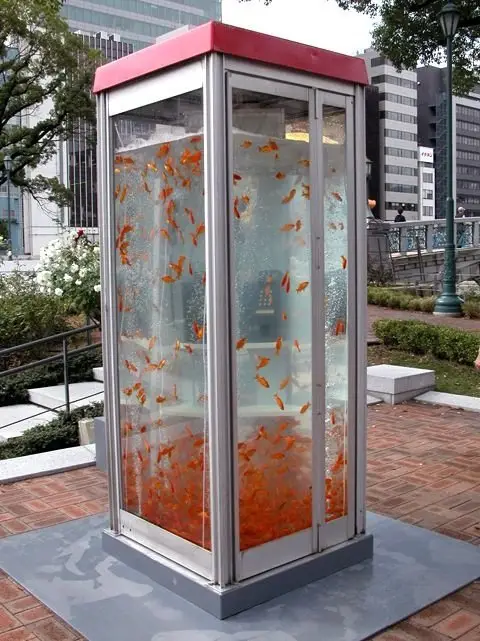 A Group of Art Students Known as Kingyobu Have Repurposed Old Phone Booths into Goldfish Aquariums across Osaka, Japan