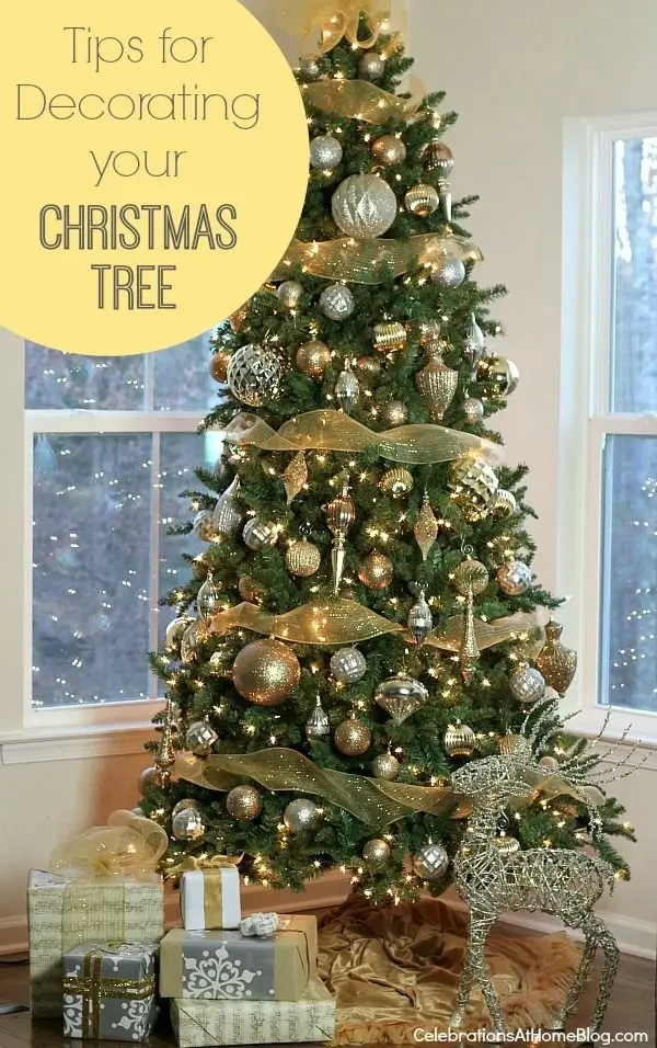 christmas tree,tree,christmas decoration,decor,fir,