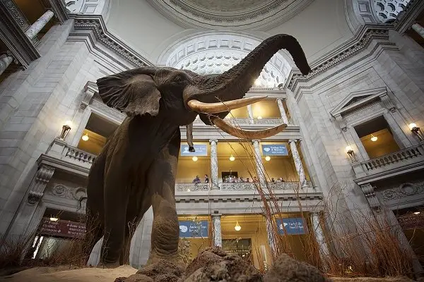 The Smithsonian – Washington DC, USA