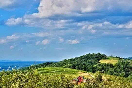 Virginia Wine Country – Virginia