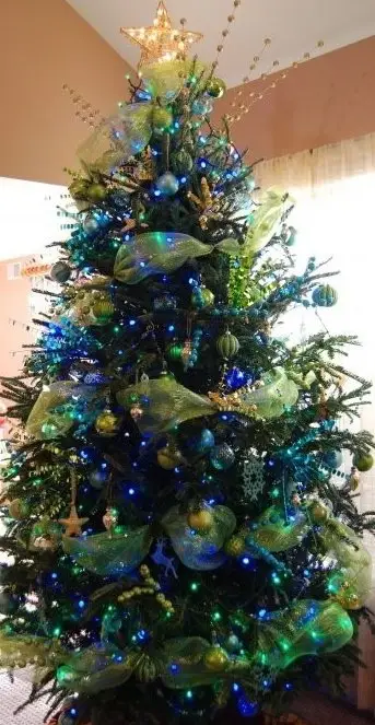 christmas tree,tree,christmas decoration,woody plant,decor,