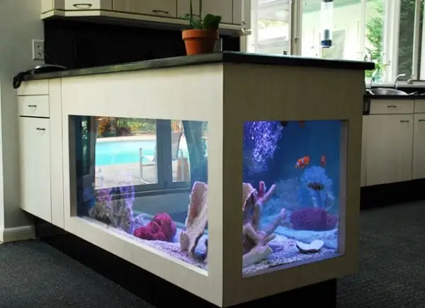Kitchen Cupboard Aquarium