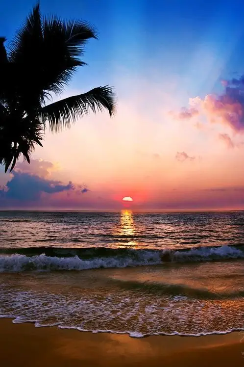 Sunset in the Tropics