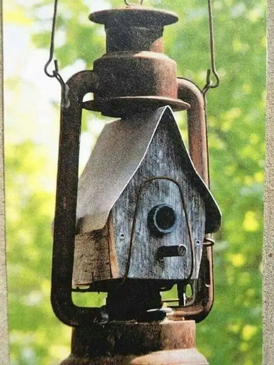 Clever Repurposing Makes a Unique and Rustic Birdhouse