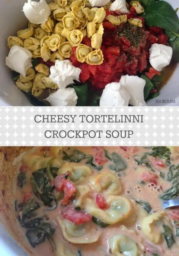 Craving Cheese? Here Are Some Soup Recipes That Will Satisfy ...