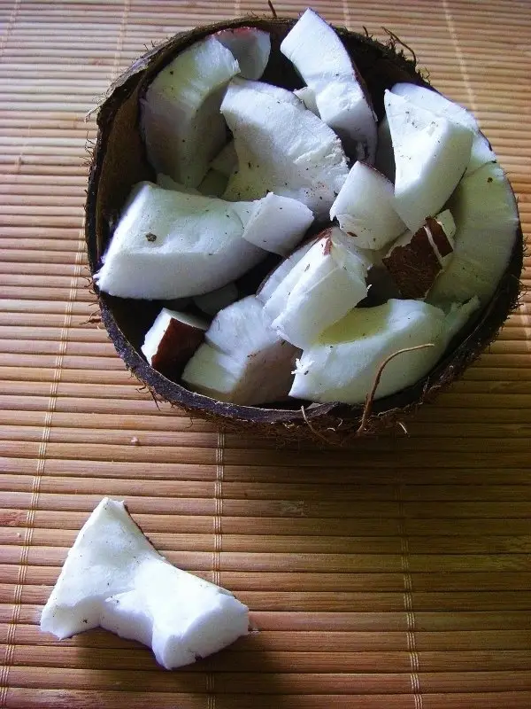 Coconut Flesh