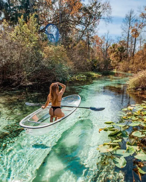 Water, Stand up paddle surfing, Tree, River, Surface water sports,