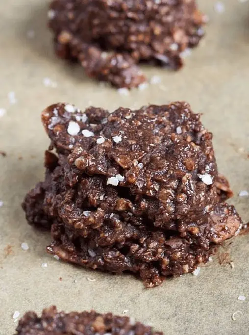 NO-BAKE Chocolate Quinoa Cookies