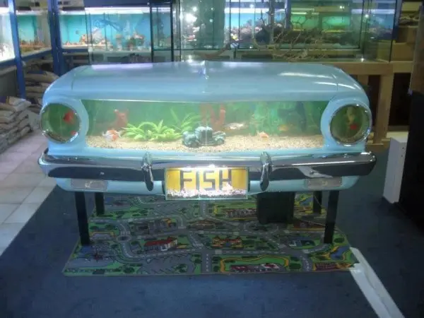 Old Falcon Turned into an Amazing Fish Tank