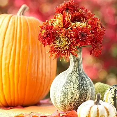 Gourd Vases: Centerpiece Decorating Ideas for Fall...