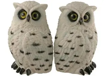 Snowy Owl Bookend Set