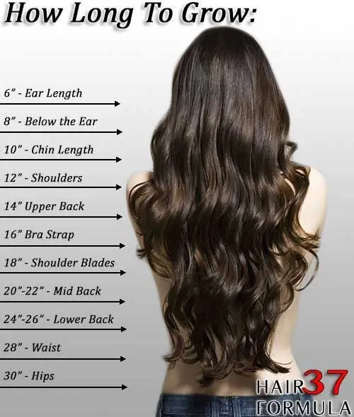 Useful Hair Charts! - The HairCut Web  Hair chart, Hair color techniques,  Hair level chart
