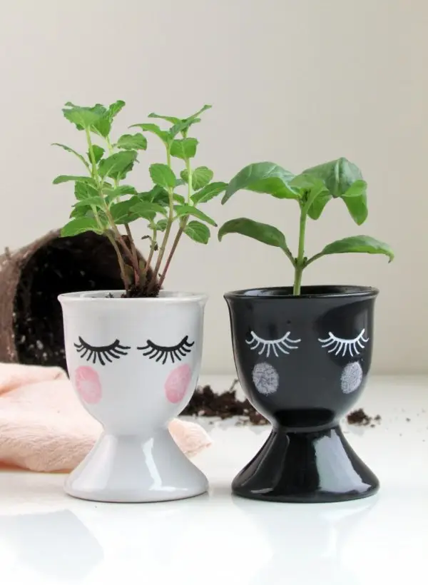 Plant Them in Cute Egg Cups