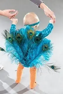 Baby Peacock