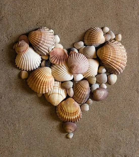 37 Shell Crafts to do when Summer's over