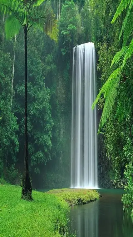 waterfall, nature, vegetation, body of water, water resources,