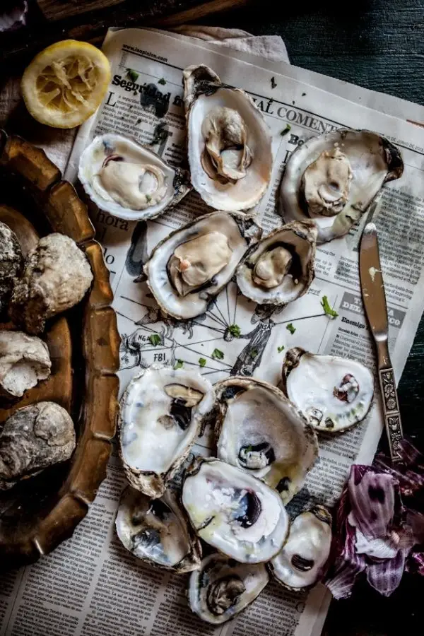 food, oyster, molluscs, invertebrate, seafood,