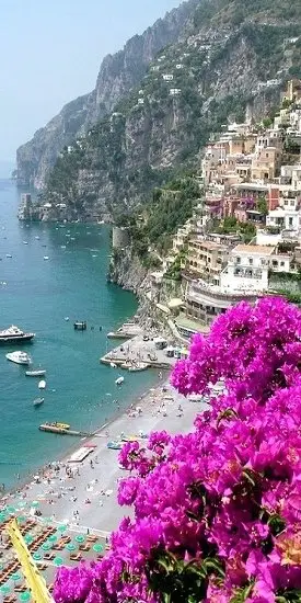 Positano,landform,geographical feature,coast,flower,