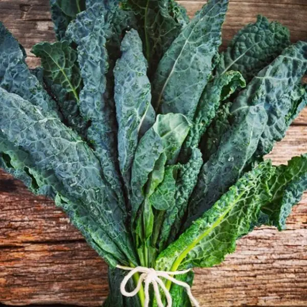 leaf vegetable, vegetable, leaf, kale, produce,