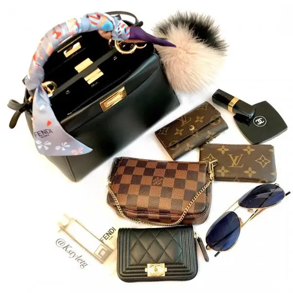 bag, fashion accessory, brand, coin purse, hand,