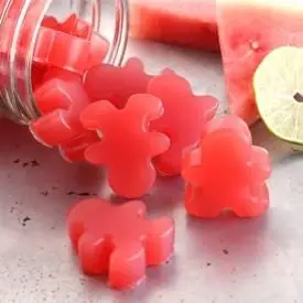 Watermelon Gummy Treats
