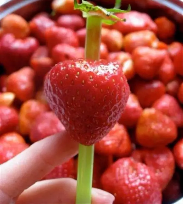 Use a Straw to Easily Remove the Stem from a Strawberry
