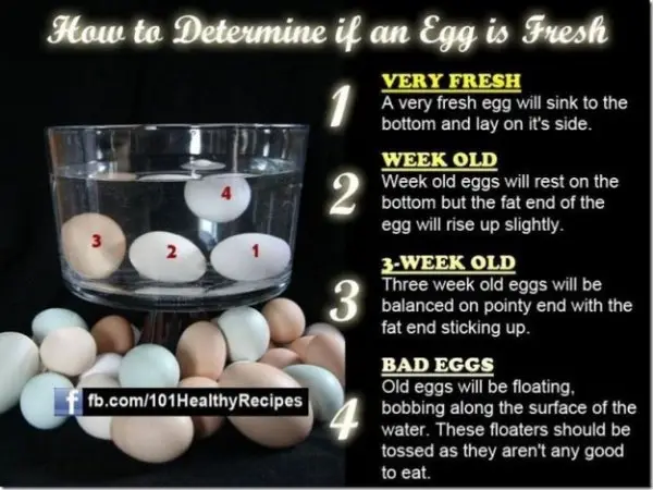 Know How to Tell if Your Eggs Are Fresh