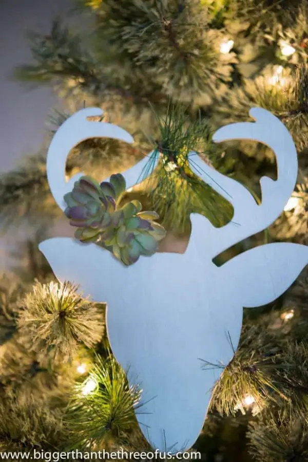 tree, pine family, fir, christmas decoration, branch,