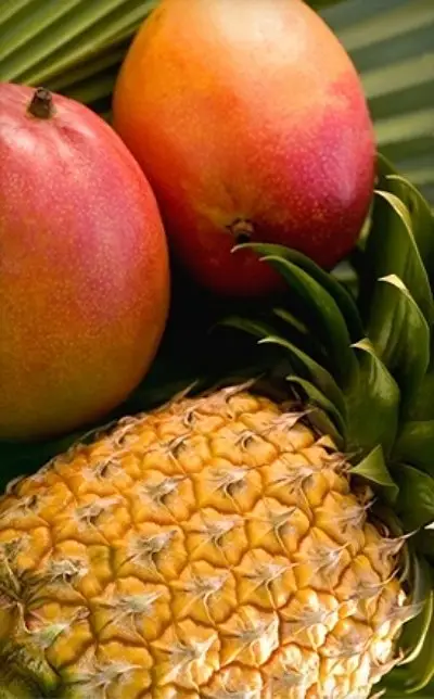 Papaya & Pineapple