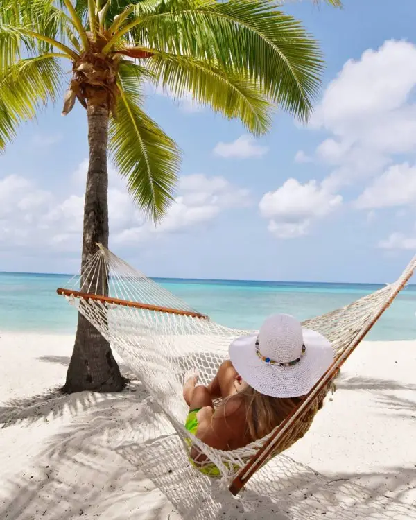 caribbean, vacation, tropics, hammock, palm tree,