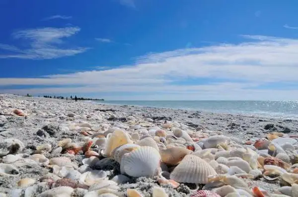 Bowman’s Beach, Sanibel Island, Florida