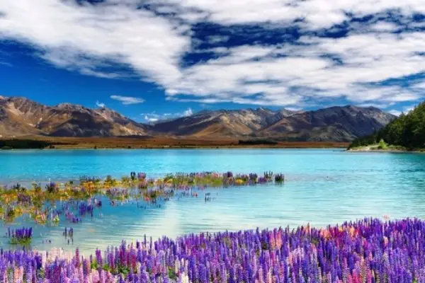 Commune with Mother Nature in Tekapo, New Zealand