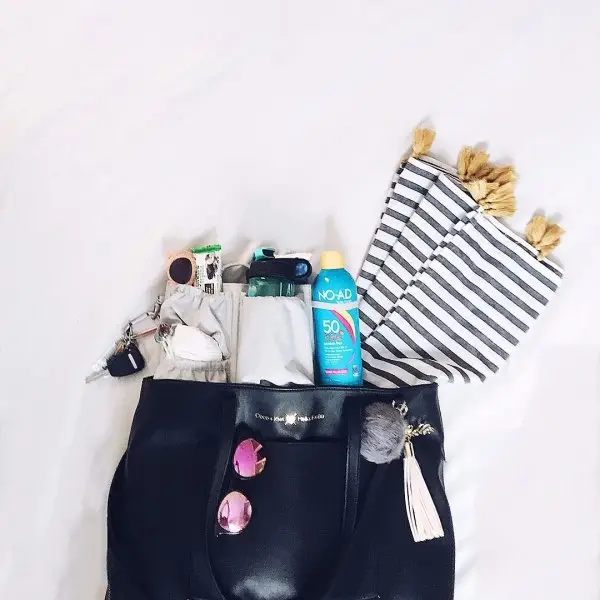handbag, fashion accessory,